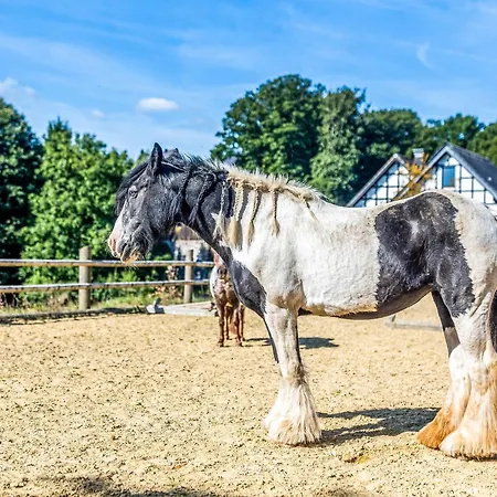 Prázdninový dům Blockhaus 1