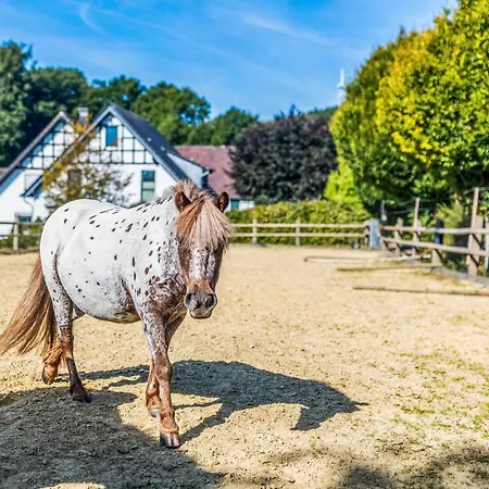 Blockhaus 1 Prázdninový dům