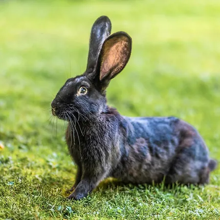 Blockhaus 1 * Eslohe