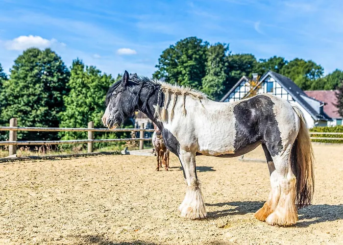 Vakantiehuis Blockhaus 1