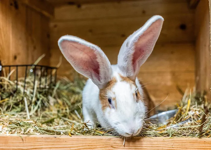 Blockhaus 1 Vakantiehuis