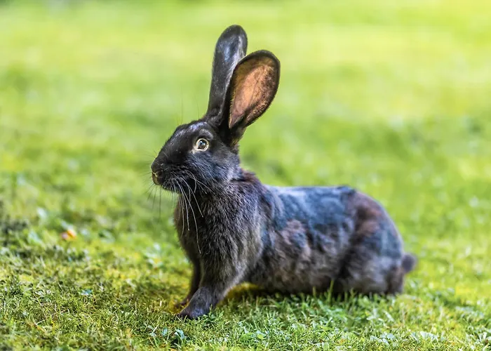 Blockhaus 1 * Eslohe